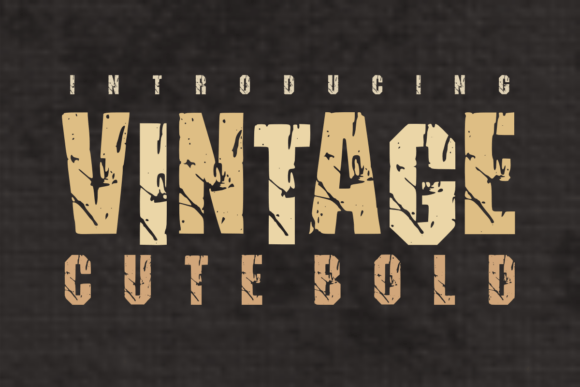 Vintage Cute Bold: A Display Font with Editorial Charm